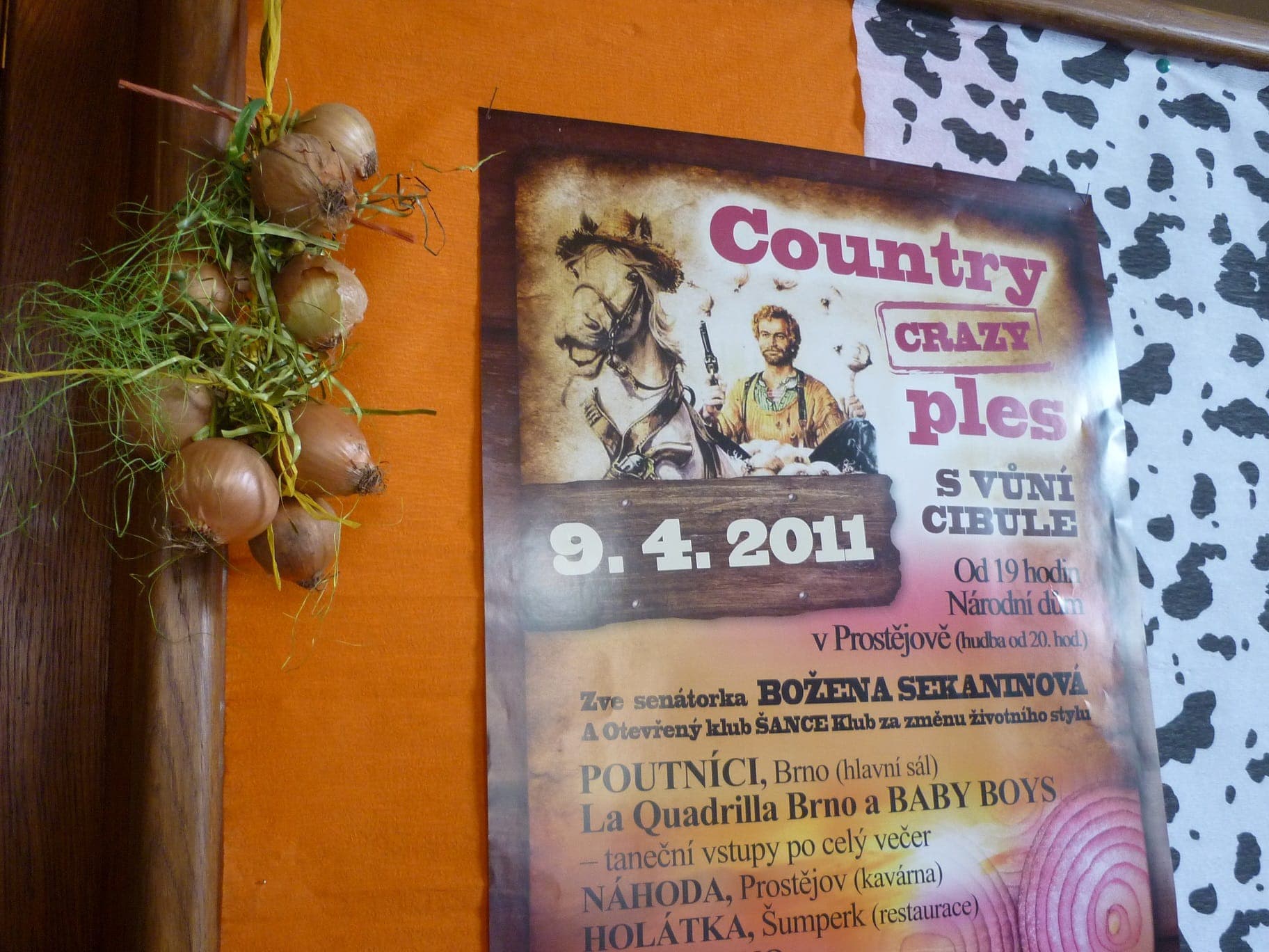 Společenské akce a eventy 8