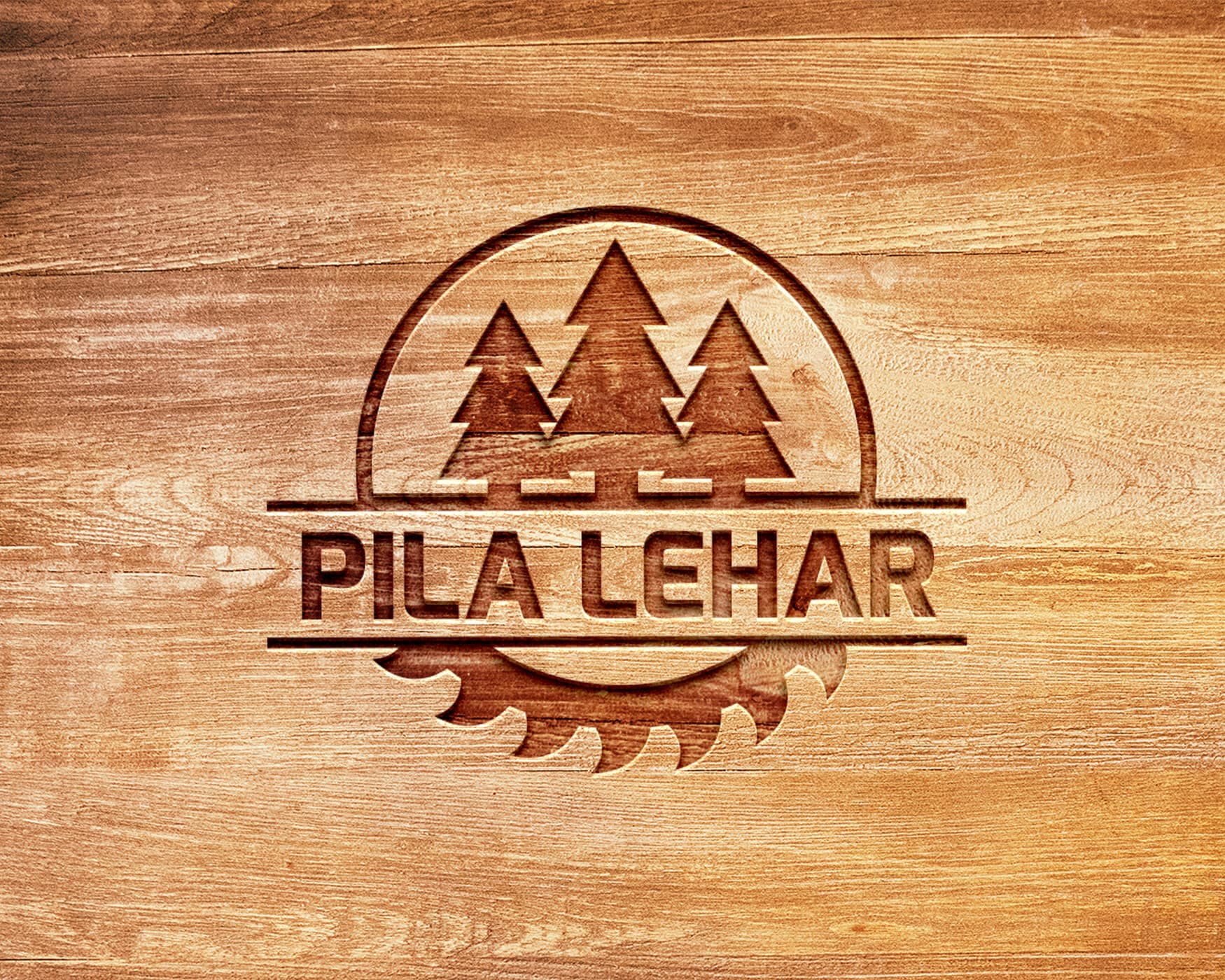 Grafické práce a logo design 6